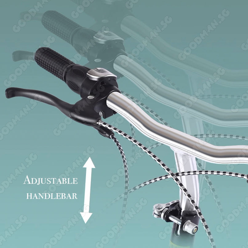 ICOLOUR 20 Inch Foldable Bicycle with 7 Speed Gear