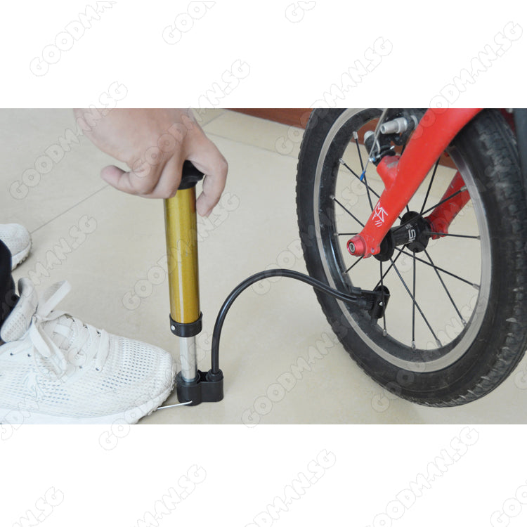 Portable Pump