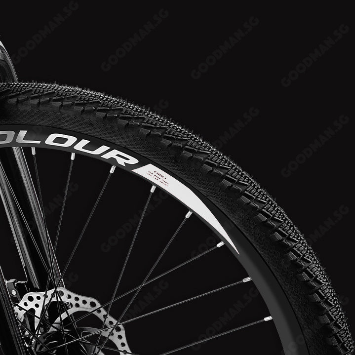 ICOLOUR 26 inch 21 Speed Mountain Bike Suspension