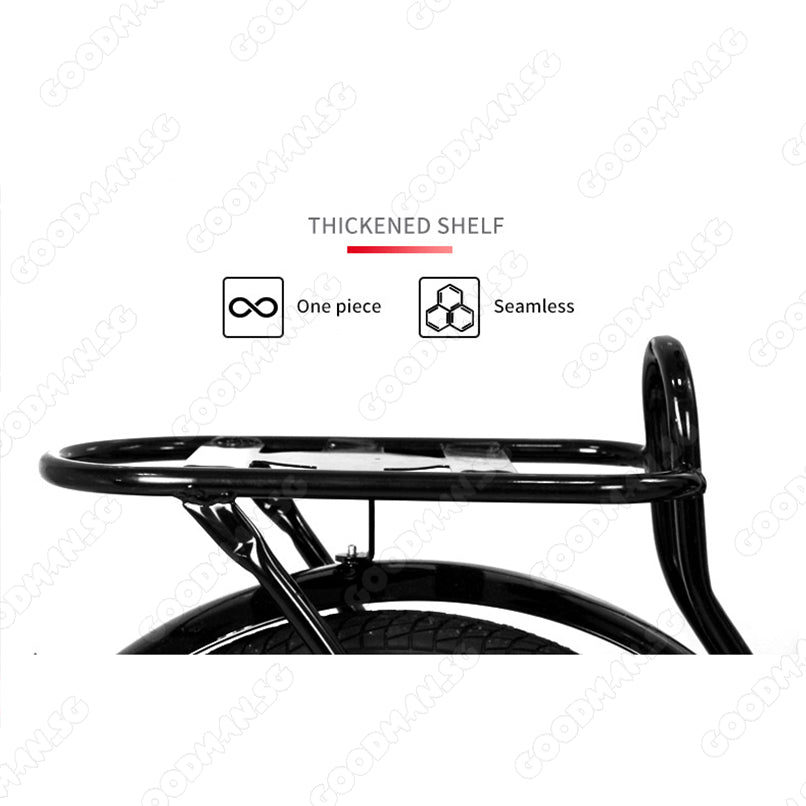 Foldable Bicycle Single Speed VMAX