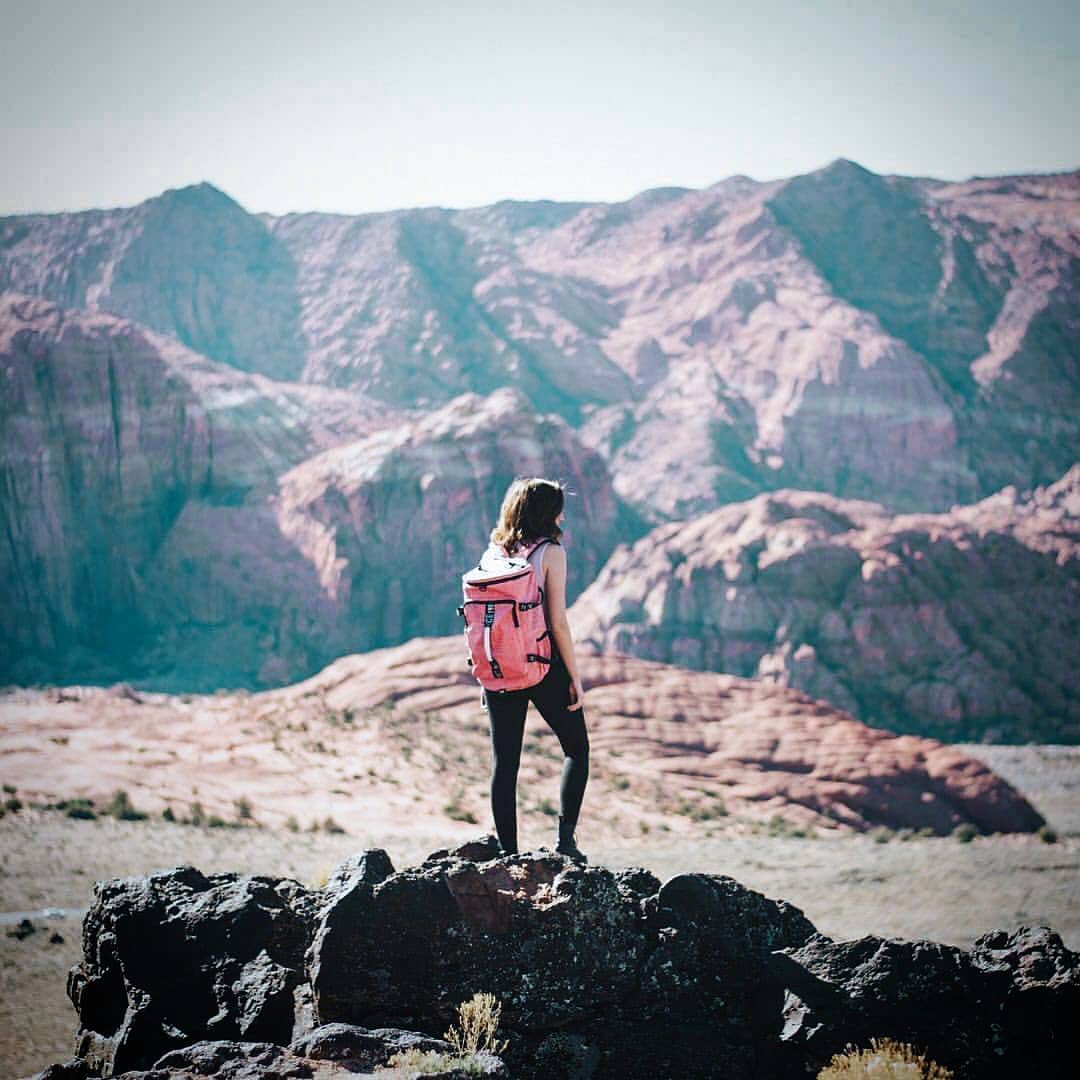 Watermelon Backpack