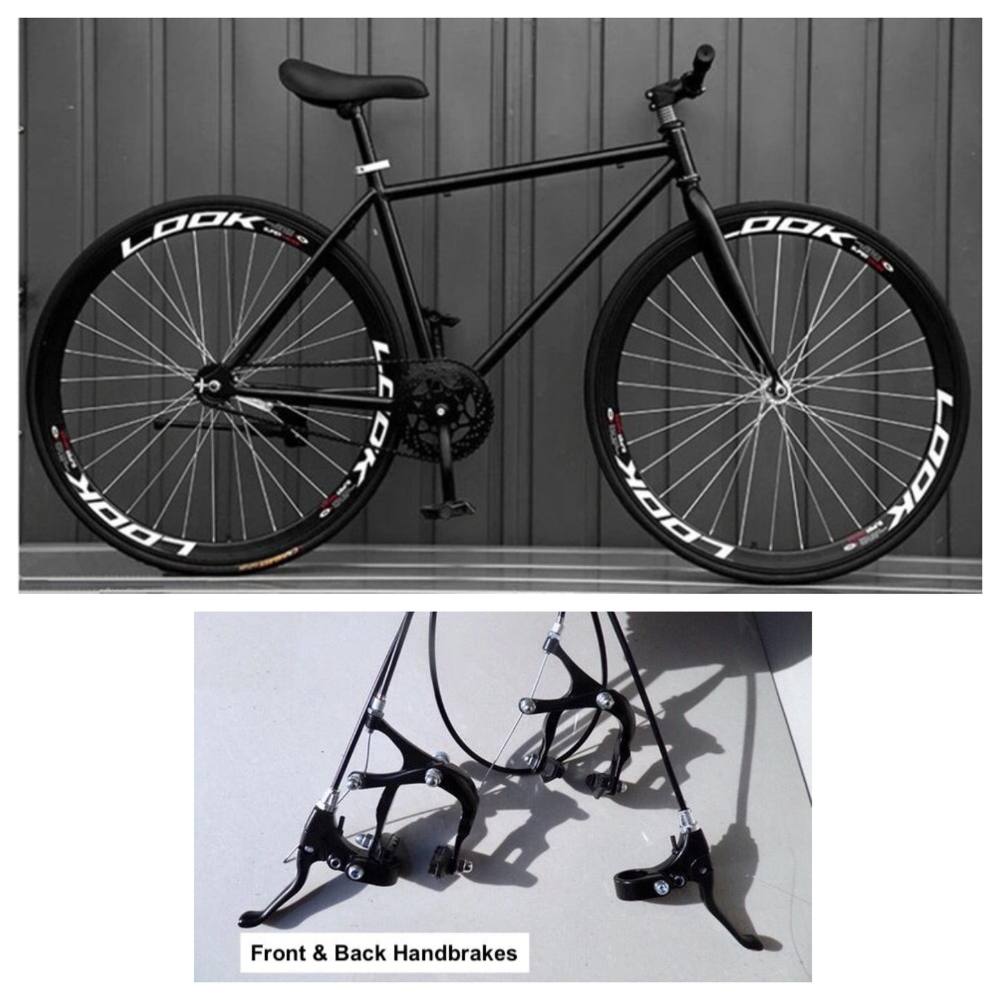 Coaster Brake Single Speed Road Bicycle