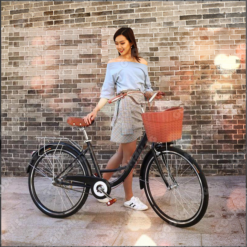 Vintage Bicycle Single Speed