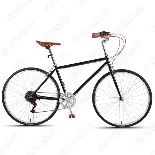 7 Speed Classic City Bicycle