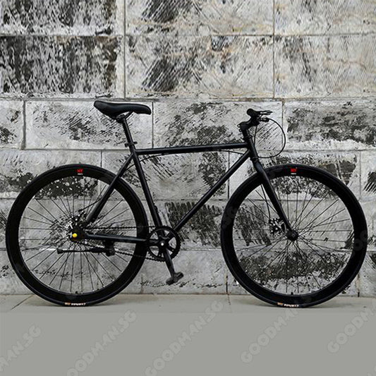 Single Speed Road Bicycle with Disc Brake